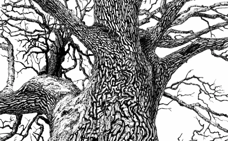 Soirée Arborescences 🌲 Les écritures du vivant
