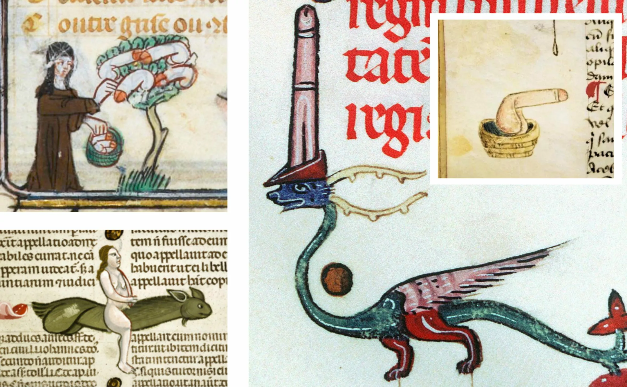 visuels-bite-moyen-age