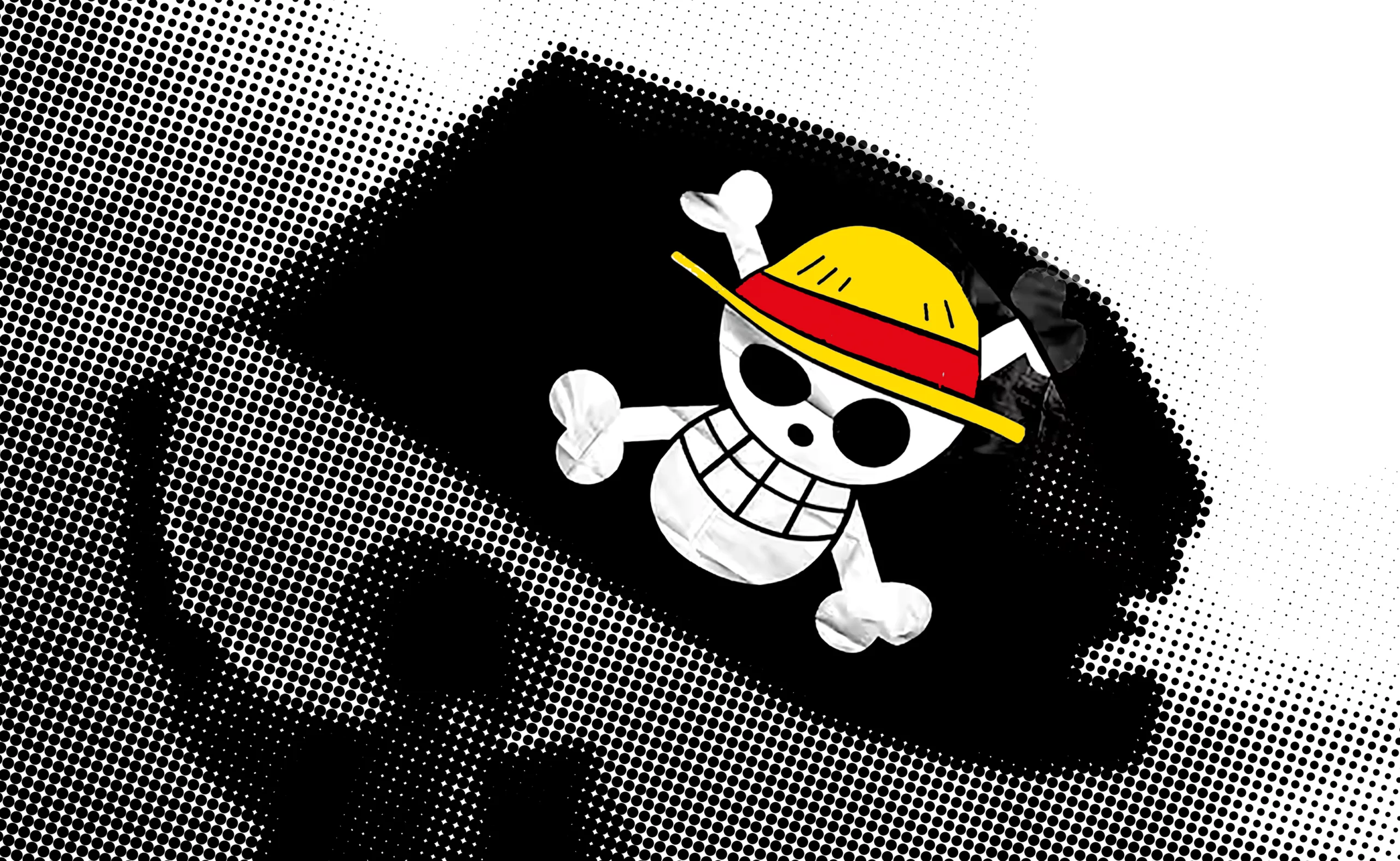 drapeau-one-piece-manifestation-gen-Z