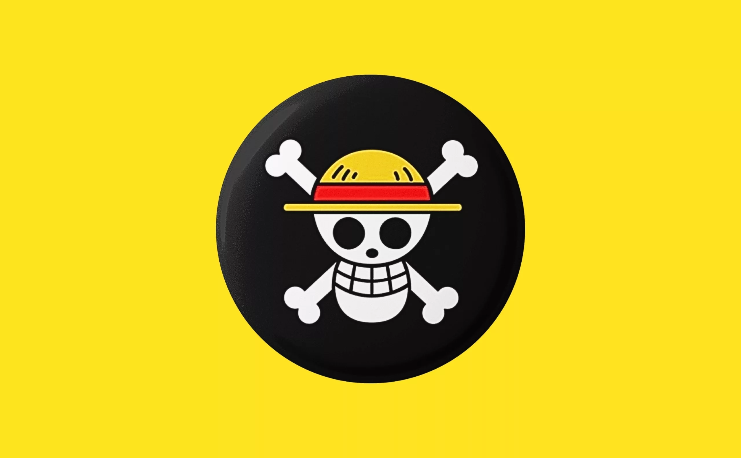 drapeau-one-piece-manifestation-gen-Z