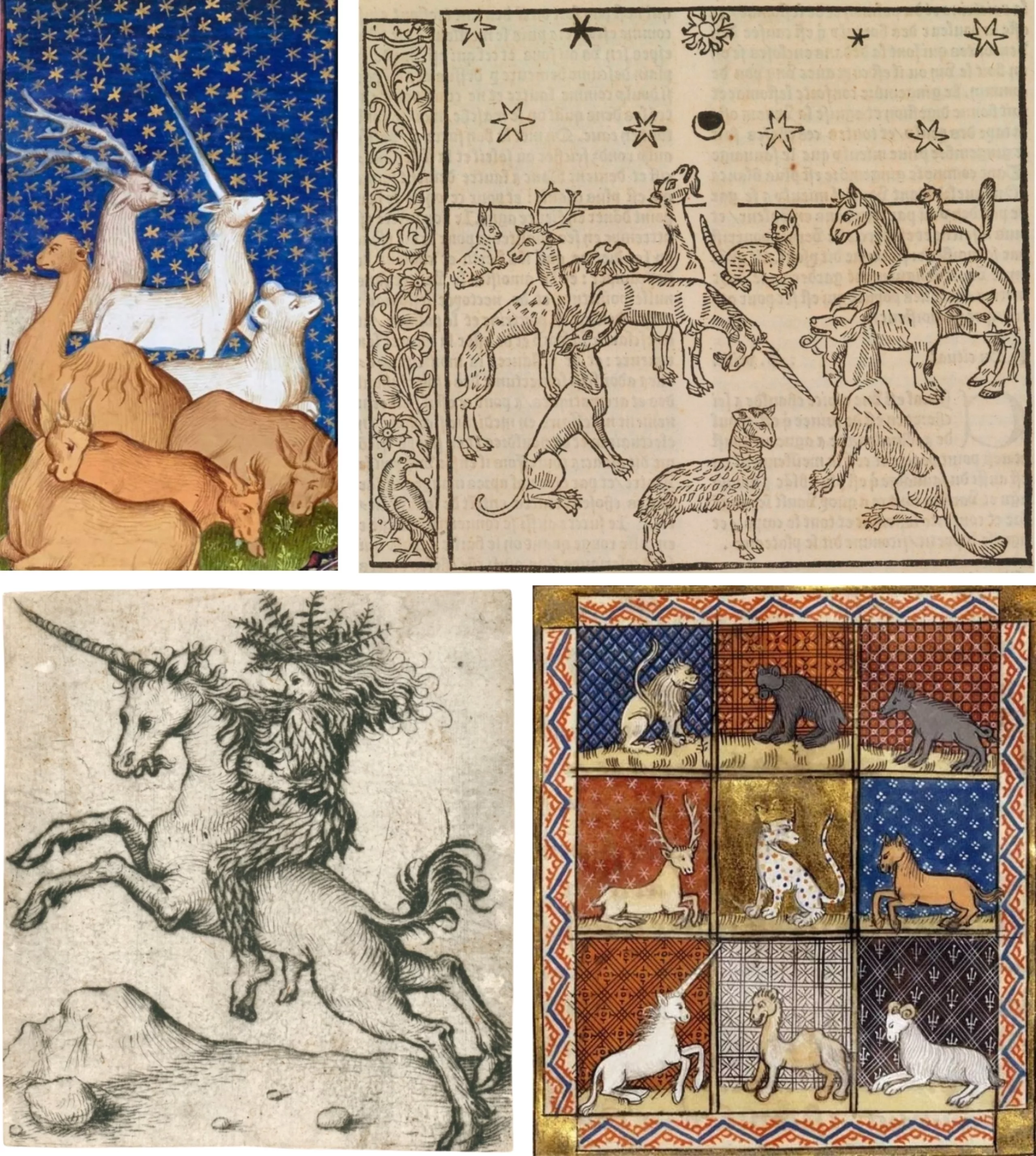 bestiaire-licorne-moyen-age