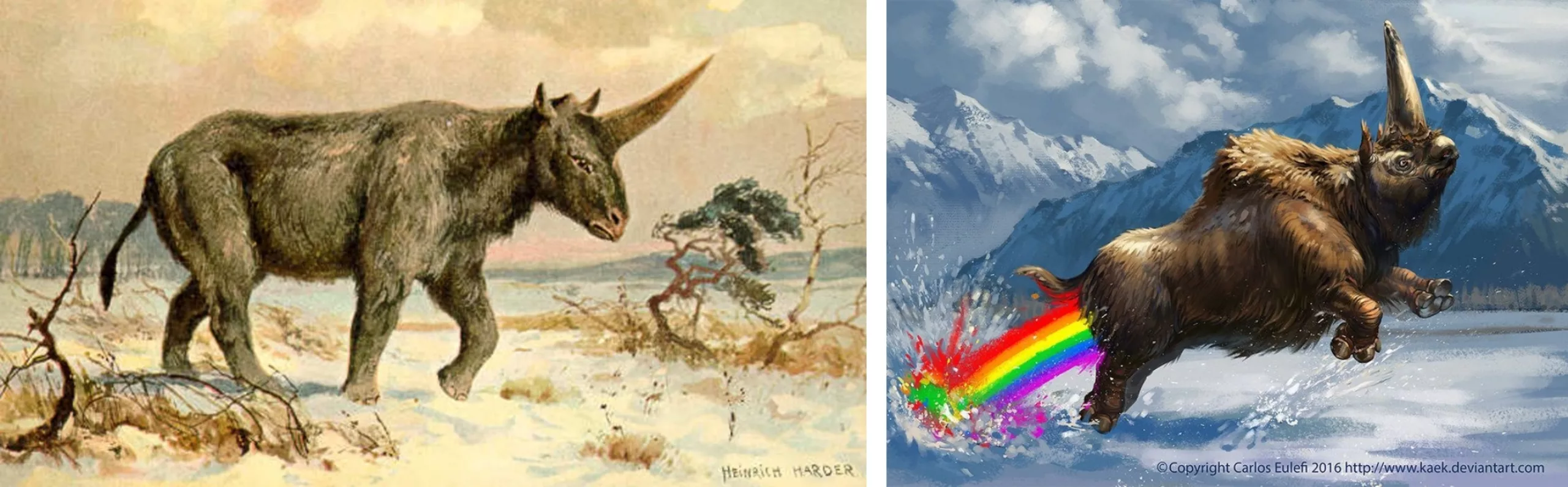 licorne rhinoceros sibérien