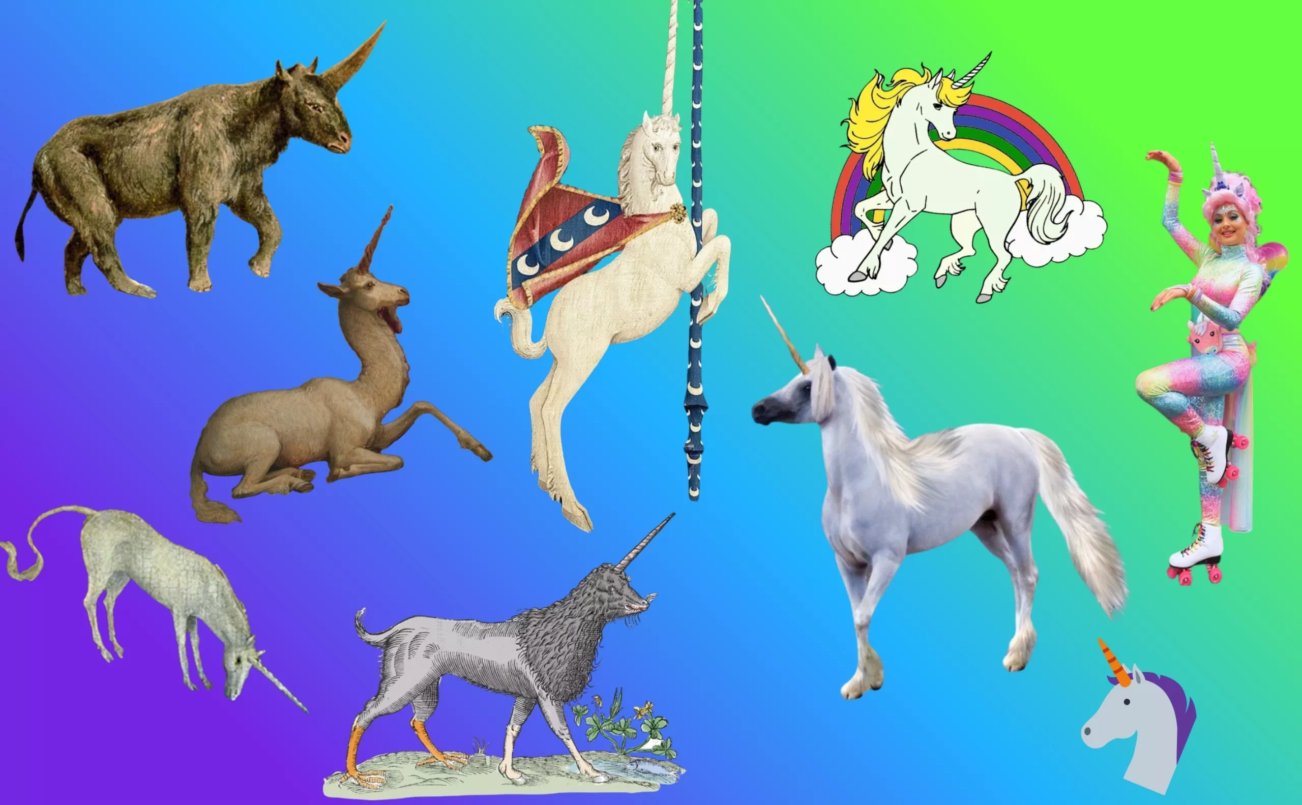 evolution-image-licorne
