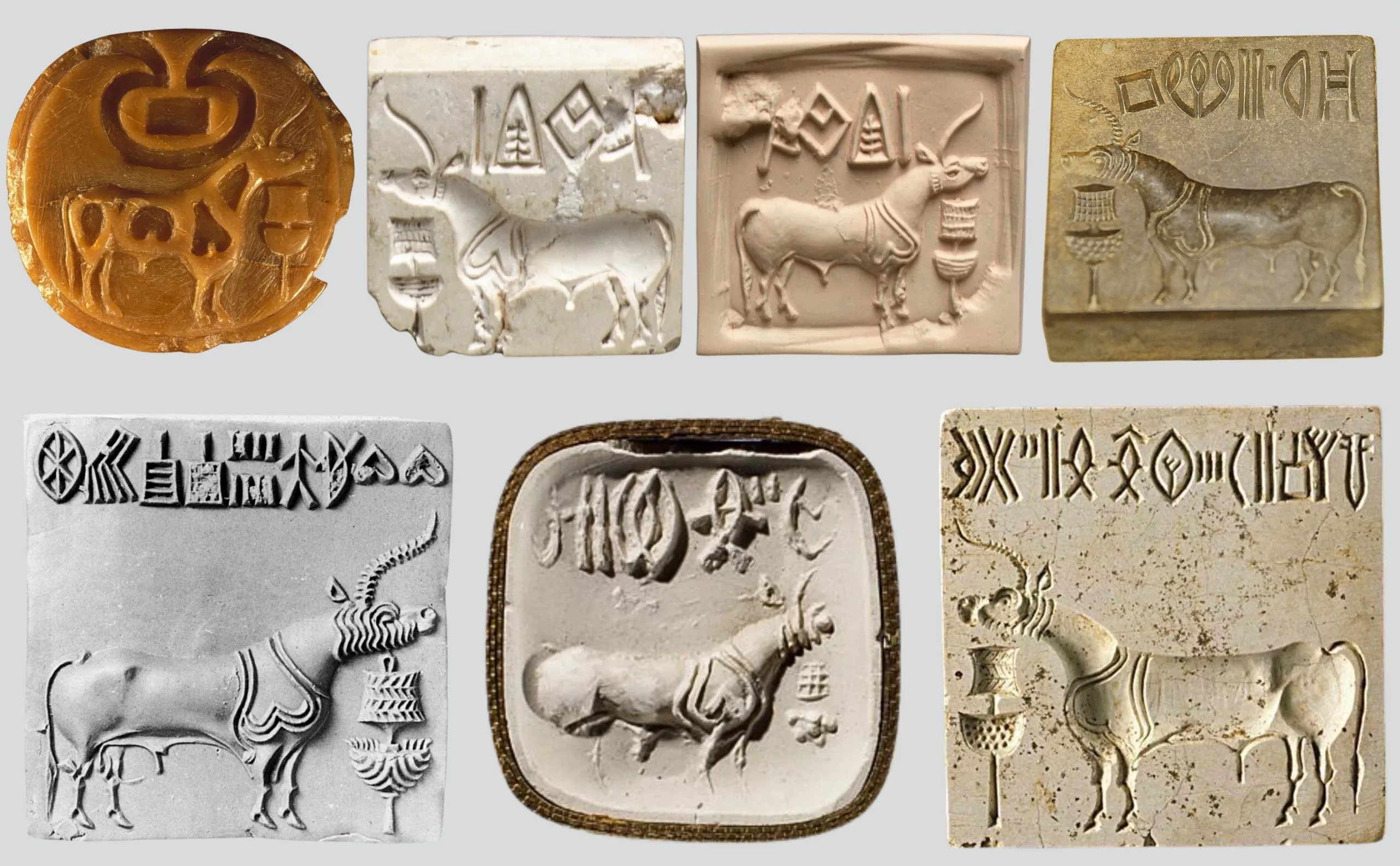 sceau-indus-licorne